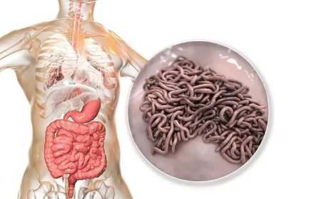 Fenbendazole for Human Parasites – Uses and Benefits