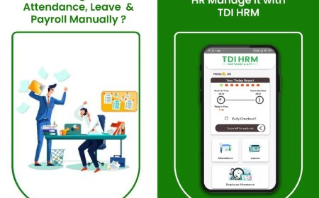 Looking for the Best HR Software in Jaipur? TDI Online Services Has You Covered