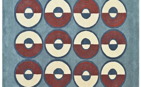 What are some top brands to buy big rugs and carpet for living room in Delhi, India?