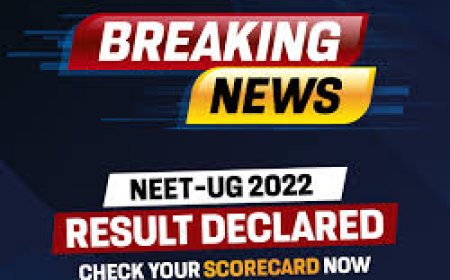 UN Peacekeeping in 2025: Why My International Relations Professor Was Wrong About Everything