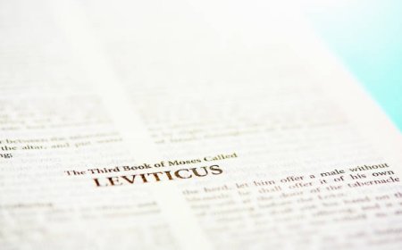What Laws Are Central in the Book of Leviticus?