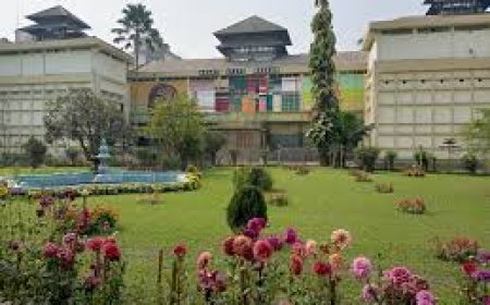 Unforgettable Kaziranga Tour Package for Nature Lovers