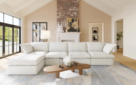 VANACC Sofa Bed: Style, Comfort & Function Combined