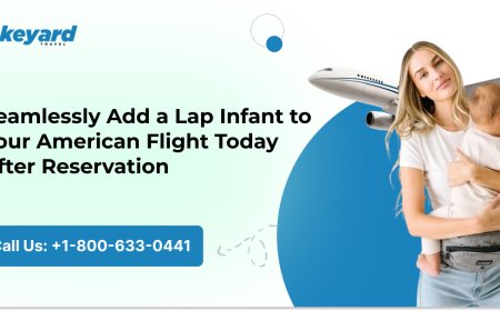 Seamlessly Add a Lap Infant to Your American Flight Today After Reservation