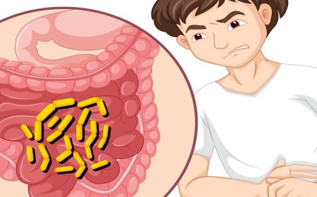 Where to Buy Mebendazole for Humans