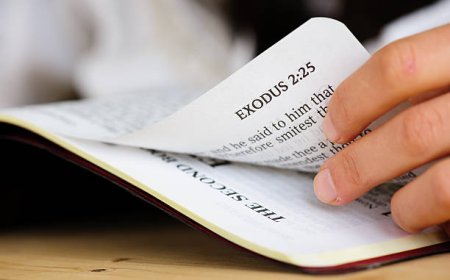 What Laws Are Introduced in the Book of Exodus?