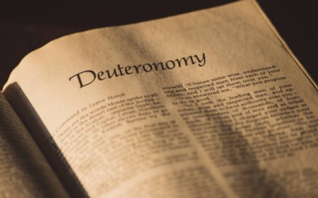 How Does the Book of Deuteronomy View Obedience?