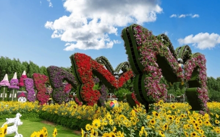 Explore the Magic of Nature: Dubai Butterfly Garden Tickets, Location & Visitor Guide