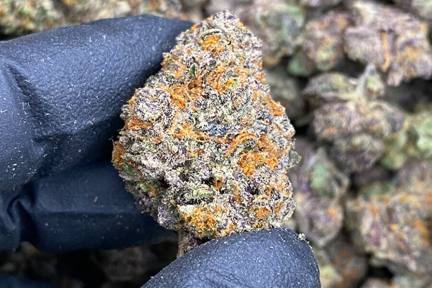 Exploring the Best Online THCA Dispensary: Your Guide to Quality and Convenience