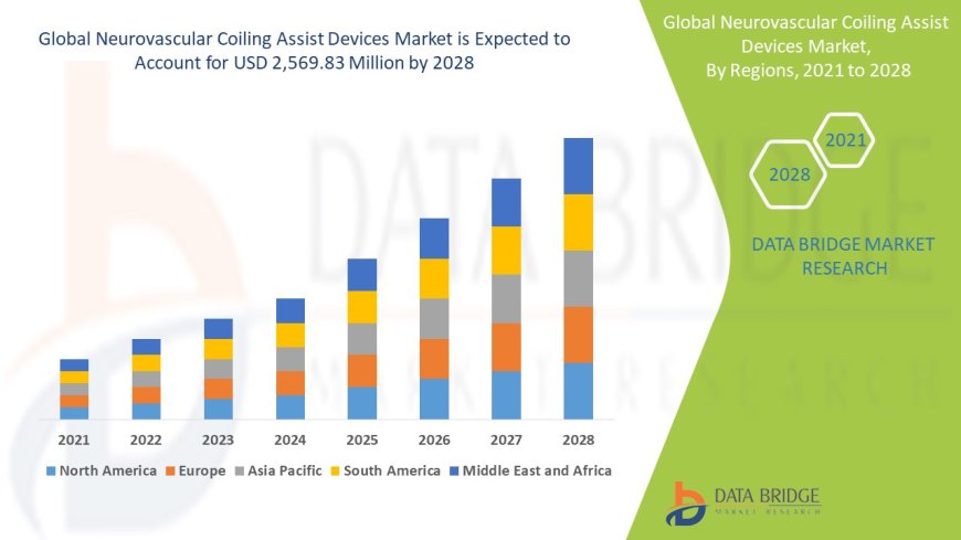 Neurovascular Coiling Assist Devices Market Overview: Key Drivers and Challenges