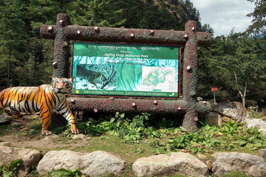 Exploring Bhutan’s Wild Side: A Nature Lover’s Guide to National Parks and Reserves