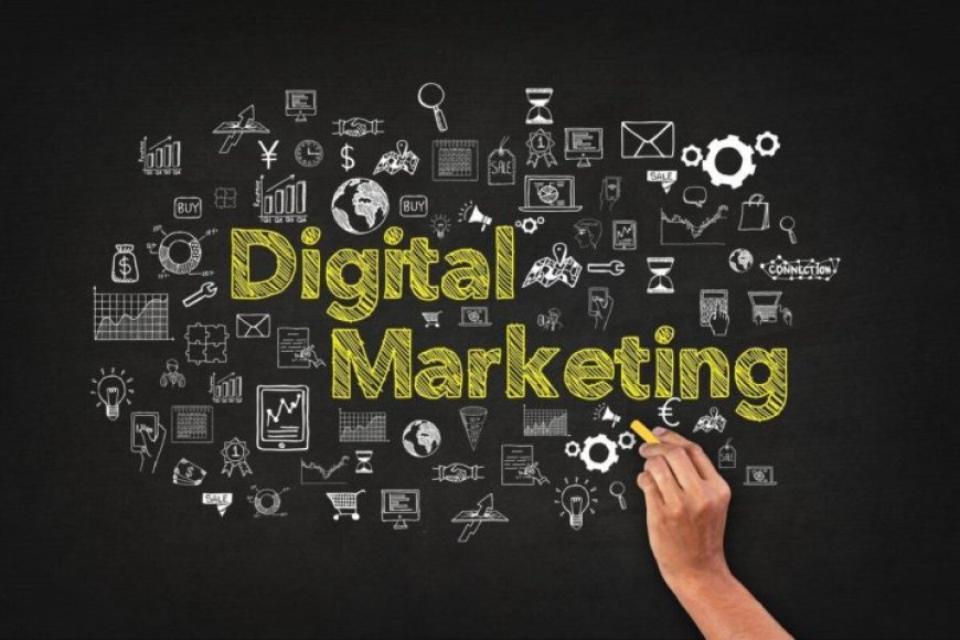 Dominating Local Search: Top SEO Services in Noida for Businesses