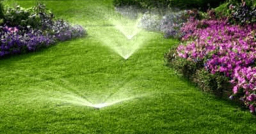 Finding the Right Irrigation Experts in Texas
