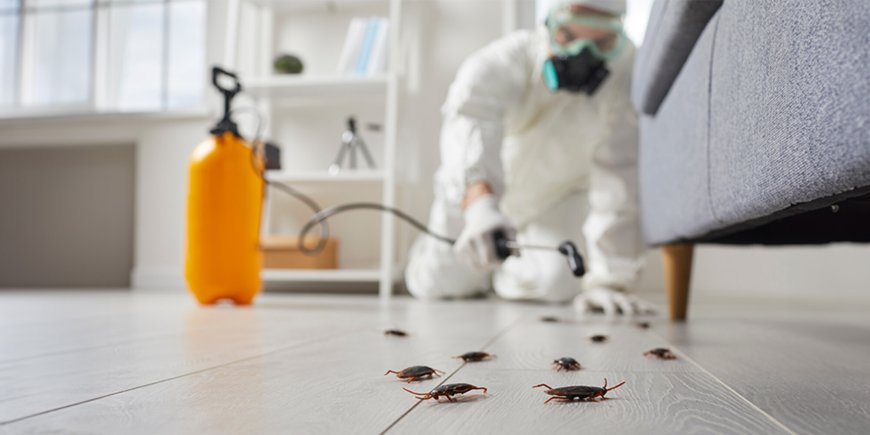 Roach Exterminator Manhattan: What Really Works to Get Rid of Cockroaches for Good