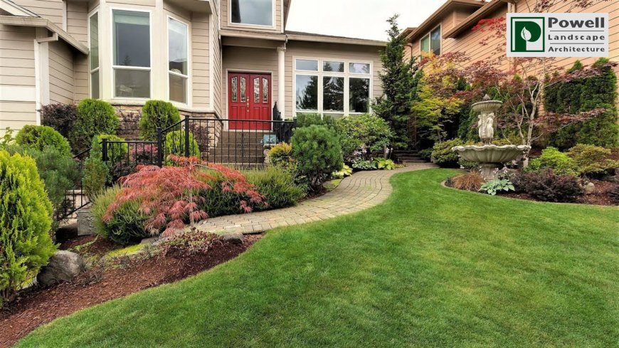 How Professional Landscaping Services Can Transform Your Curb Appeal?