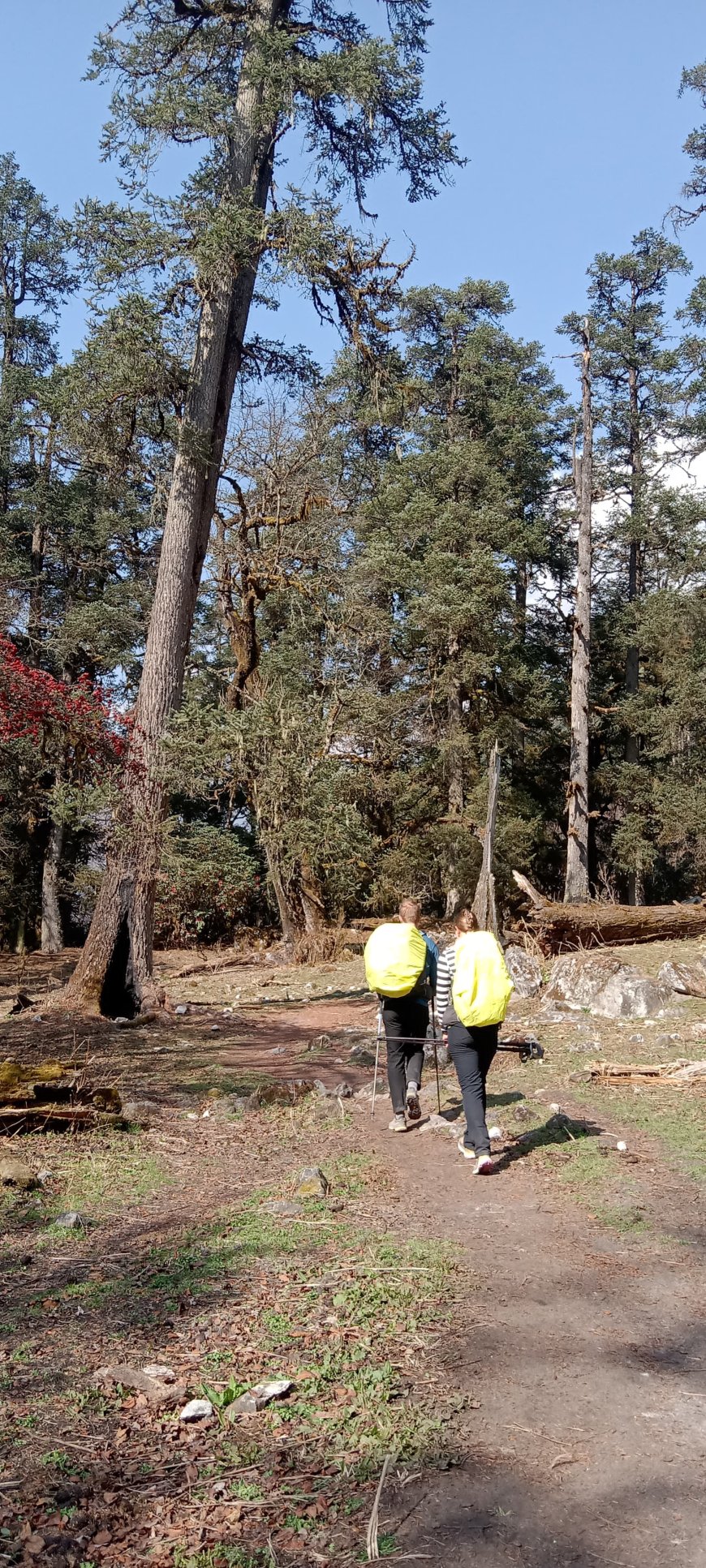 How To Acclimatise On The Manaslu Circuit And Prevent Altitude Sickness