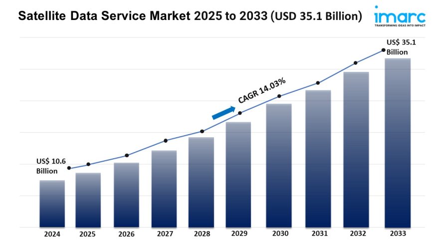 Satellite Data Service Market Report 2025 | Growth, Trends, and Forecast by 2033