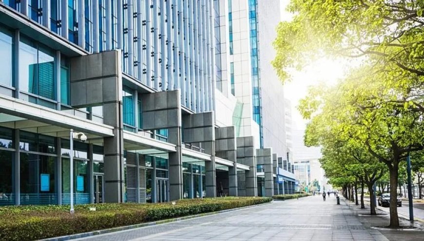 Shield Your Home: Expert Hurricane Window and Door Installation