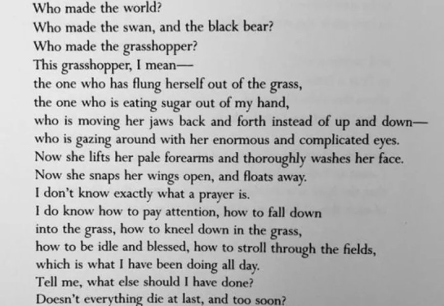 Discover 45 Mary Oliver Poems About Summer You’ll Enjoy