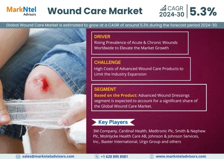 Wound Care Market Overview:  Growth & Strategy