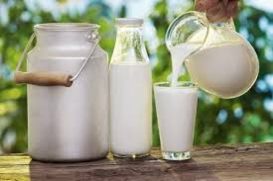 Raw Milk Dubai – A Natural Tradition Making a Fresh Comeback
