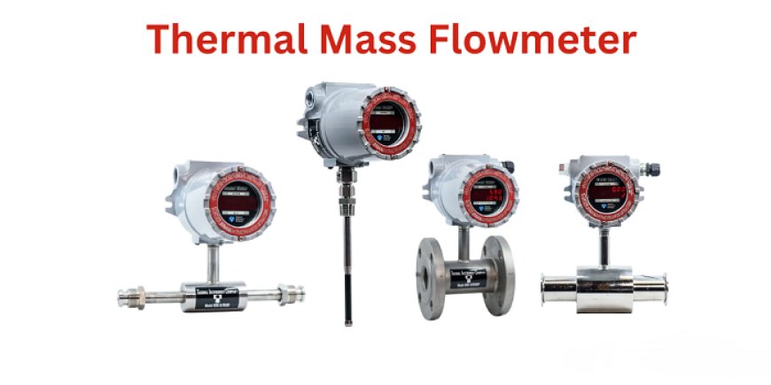 What Is a Thermal Mass Flow Meter Standard?
