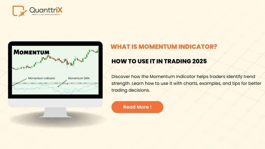 Best Momentum Indicator & Trading Strategies Explained
