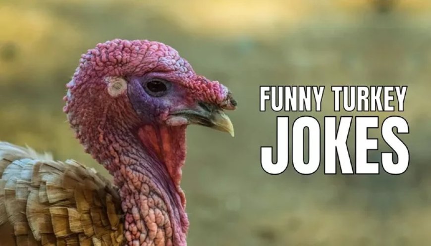 60+ Dirty Turkey Jokes to Spice Up Your Thanksgiving Feast