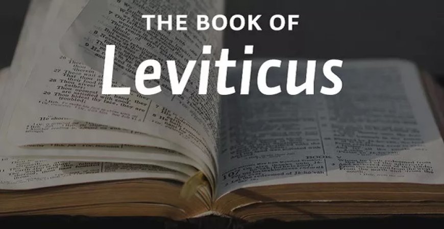 What Happens in the Book of Leviticus?