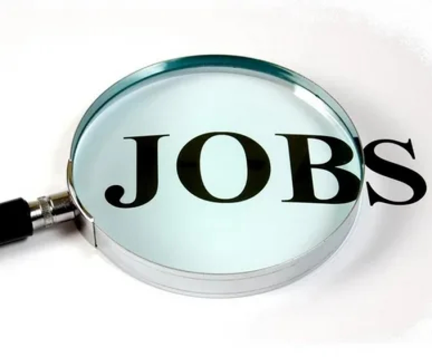 Top IT Jobs in Pakistan – Explore Career Opportunities in Tech Across Major Cities