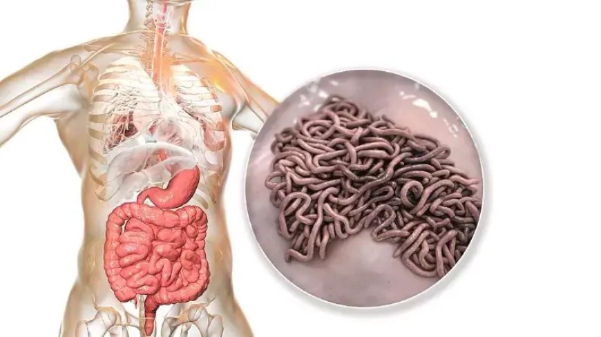 Fenbendazole for Human Parasites – Uses and Benefits