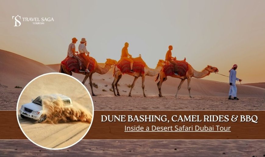 Dune Bashing, Camel Rides & BBQ: Inside A Desert Safari Dubai Tour