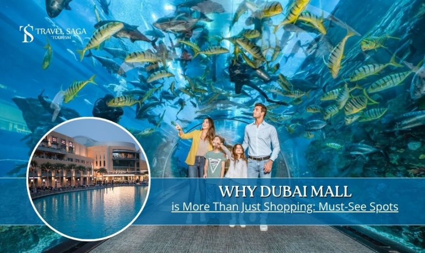 Why Dubai Mall is More Than Just Shopping: Must-See Spots