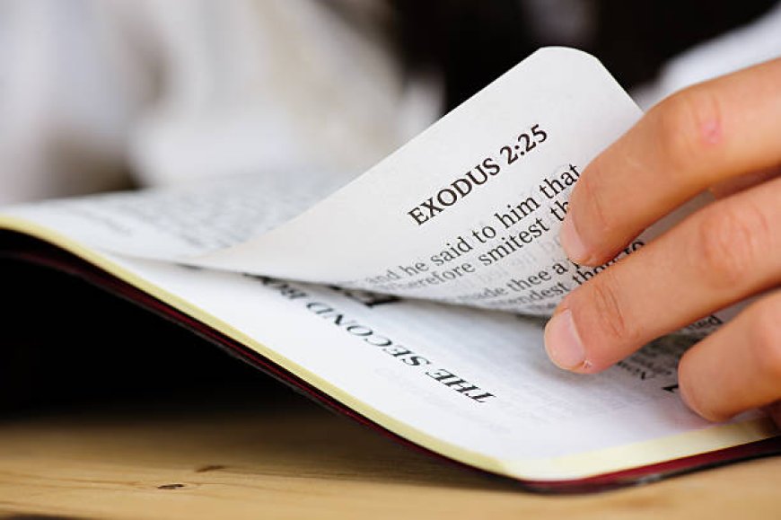 What Laws Are Introduced in the Book of Exodus?