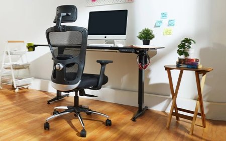 What are The Different Types of Study Chairs