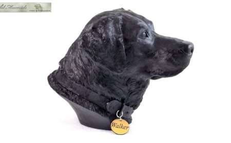 Simple Ways to Remember Your Labrador Every Day