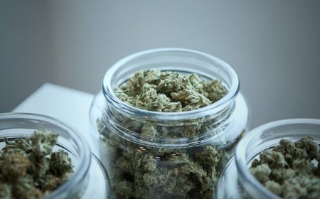 Trusted Dispensary Services for Cannabis Wellness