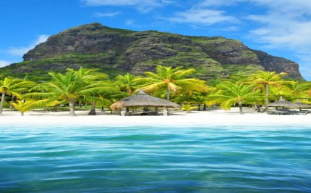 Top 10 Experiences to Have in Mauritius 