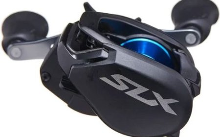 Shimano 150XG vs KP Reels for Sale: Which Reel Should You Trust on Your Next Trip?