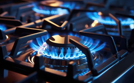 Gas Hobs for Sale vs 2 Plate Gas Stove for Sale: Which Cooking Option Is Best for You?