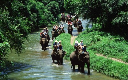 Affordable & Exciting Simlipal Tour Package for Nature Lovers