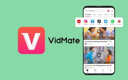 Vidmate HD Video Downloader App & Apk Free Movie Download