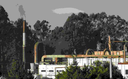 What Is a Walk-In Environmental Chamber and How Does It Work?”