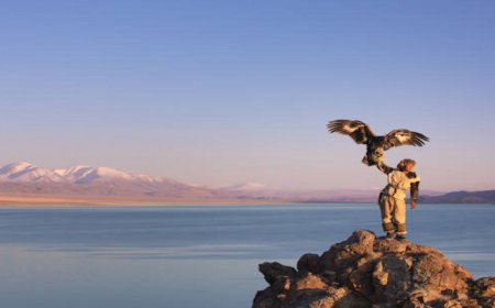 Top 10 Reasons to Choose the Best Tours Through Mongolia This Year