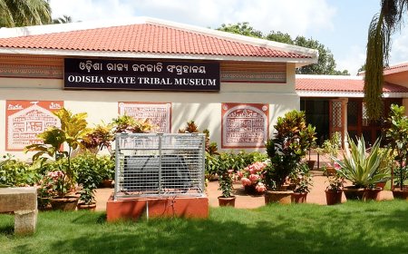 Discover the Best Odisha Tour Packages for Every Traveler