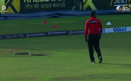 Cricket and Betbhai9: A Winning Partnership for the Modern Fan