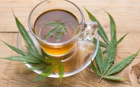 Discover the Rise of Cannabis Beverages in Niagara Falls, NY