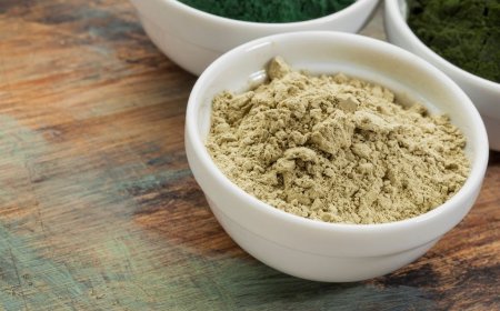 Comprehensive Approach to Setting Up a Kelp Powder Manufacturing Plant | IMARC Group Report