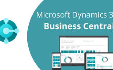 Maximizing Business Efficiency with Dynamics 365 Support and MS Dynamics ERP.