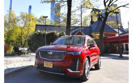 Point to Point Car Service vs. Taxis: What's the Difference?